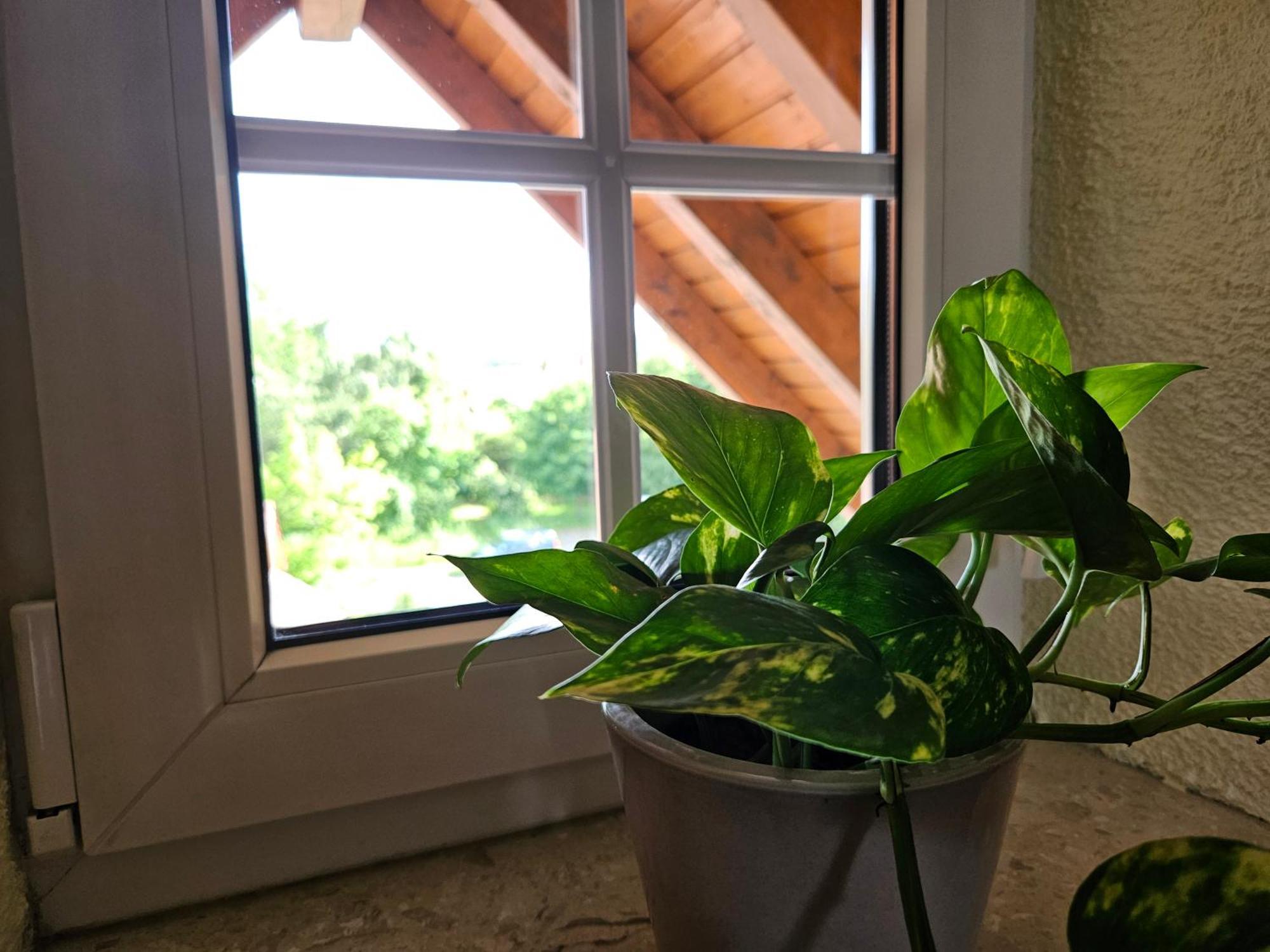 Service Appartement Weigl Nittenau Ngoại thất bức ảnh